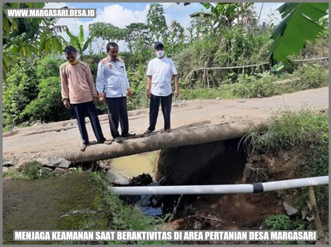 Menjaga Keamanan Saat Beraktivitas di Area Pertanian Desa Margasari